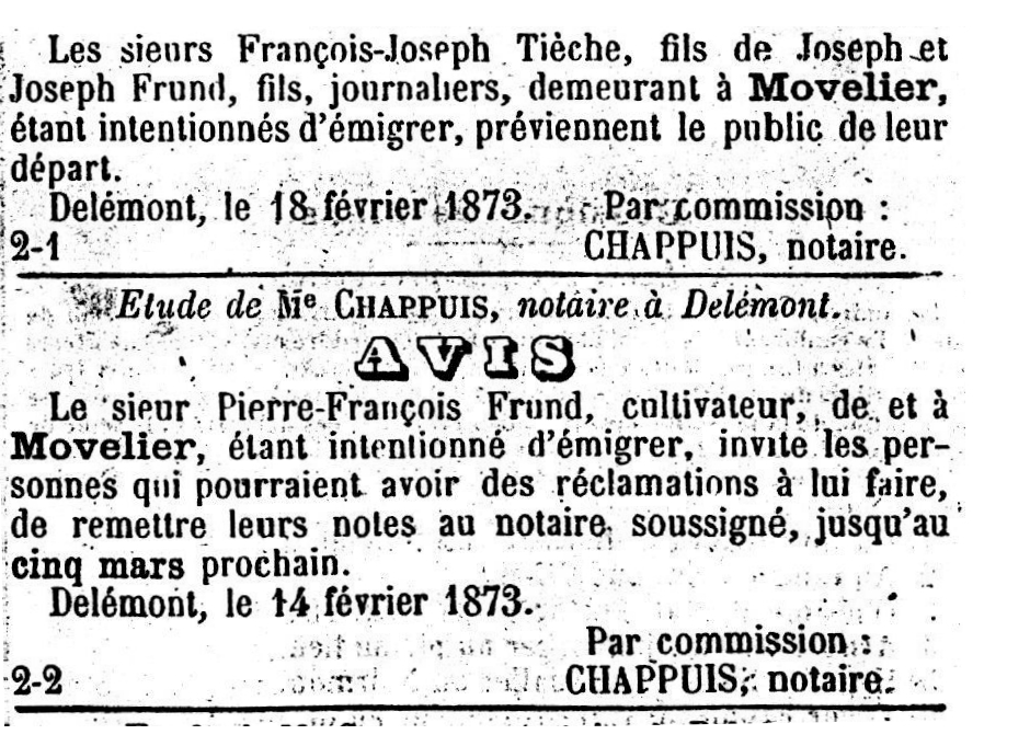 Avis1873.JPG (482976 Byte)